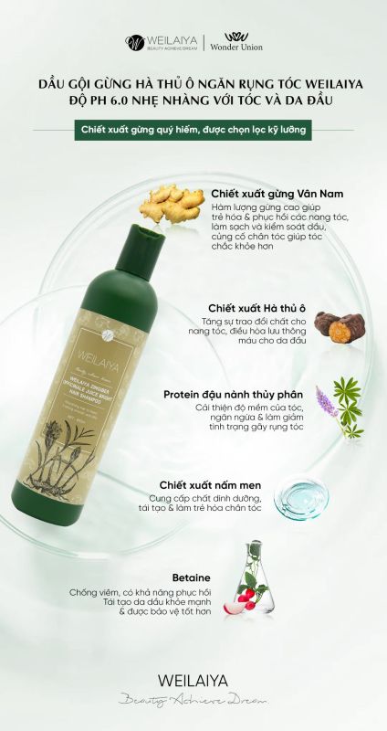 Thành phần dầu gội gừng hà thủ ô Weilaiya